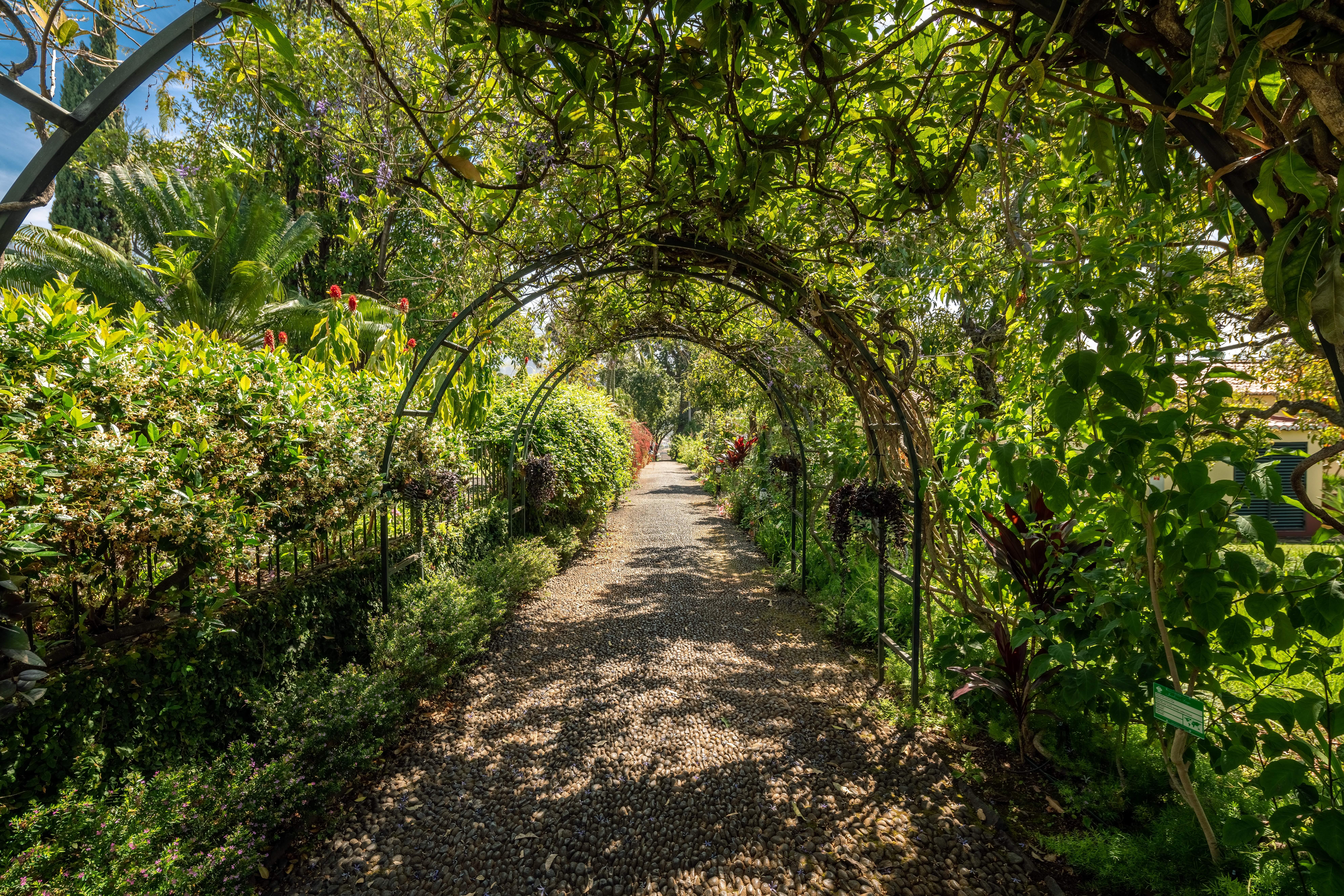 Quinta Jardins Do Lago Funchal  Exterior photo The Pergola