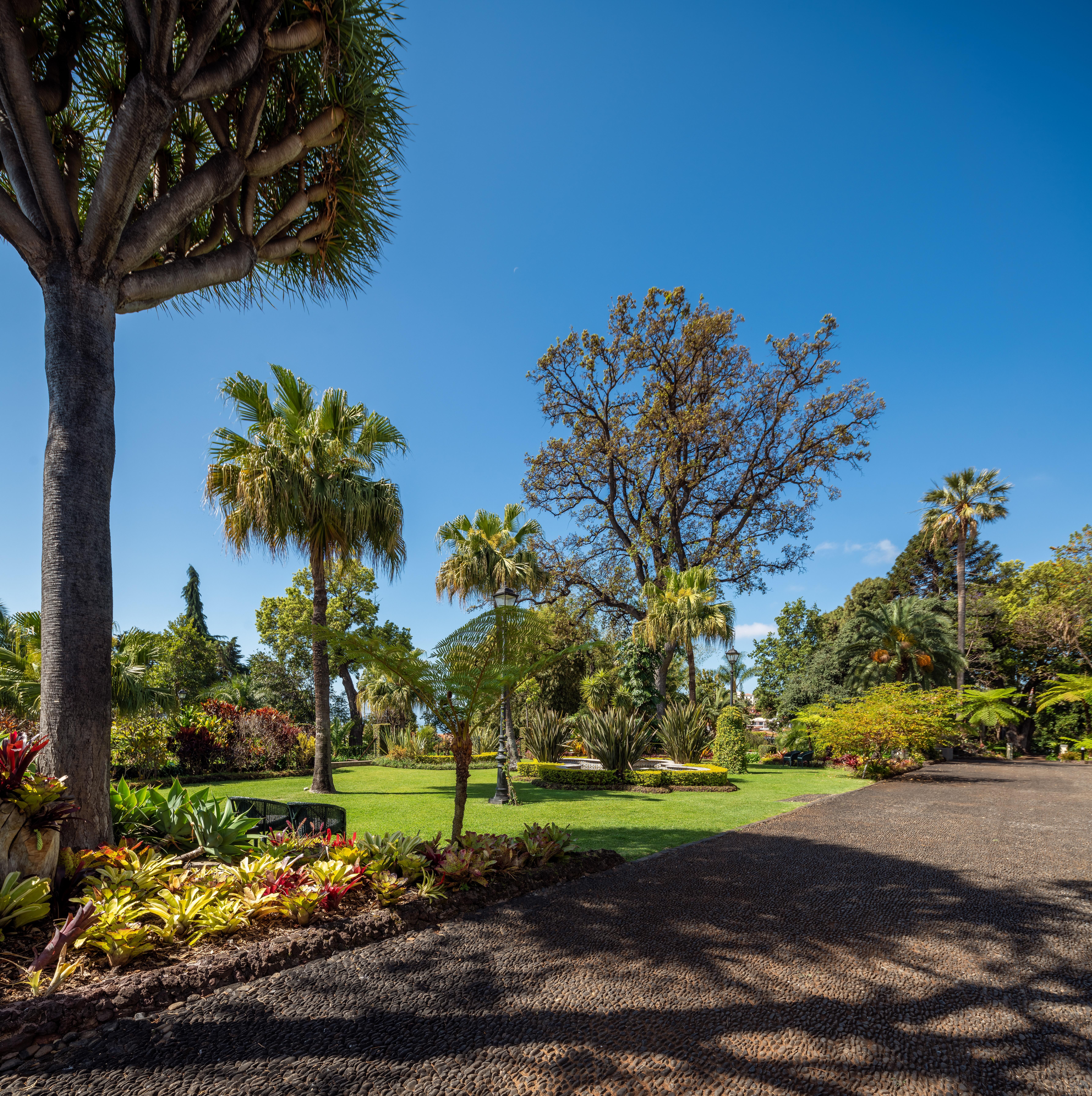 Quinta Jardins Do Lago Funchal  Exterior photo Wellington Botanic Gardens